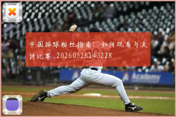 中国排球粉丝指南：如何观看与支持比赛_20260526143228