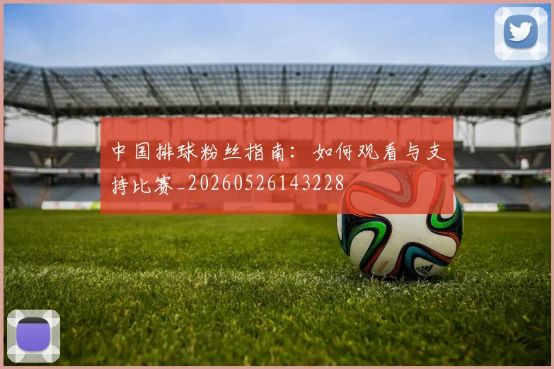 中国排球粉丝指南：如何观看与支持比赛_20260526143228
